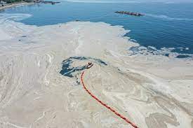 The sea snot formations can get up to 100 feet (30 meters) deep, according to the turkish news site the sea snot fills fishing nets and weighs them down — one fisherman told cumhuriyet that nets. Sqtbttc4e4hr2m
