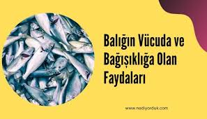 Baligin Vucuda Ve Bagisikliga Olan Faydalari Bagisiklik Sistemi Saglikli Yasam Metabolizma