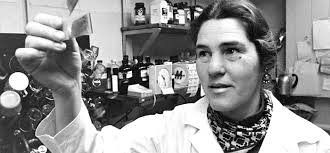 University obituaries