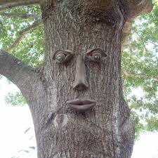 Genuine Tree Peeple Simon Tree Face 108 Gtp Hd The Home Depot Tree Faces Outdoor Wall Decor Garden Art