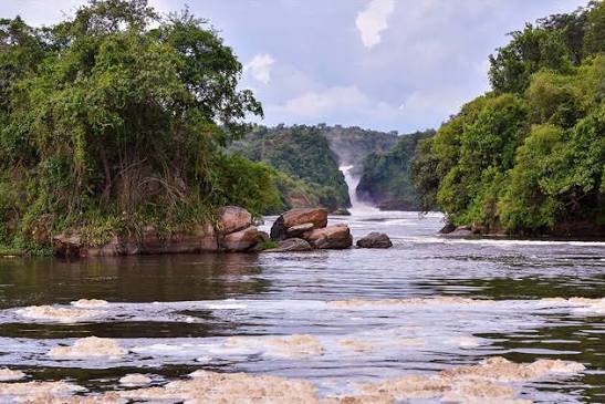 Film locations for The African Queen (1951)