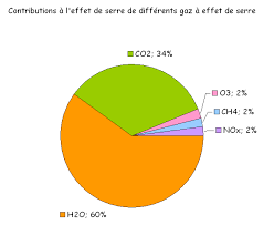 Les principaux gaz à effet de serre sont la vapeur d'eau, le dioxyde de carbone, le méthane, l'oxyde nitreux et les chlorofluorocarbures. La Grenouille Verte Tpe Constance Kevin