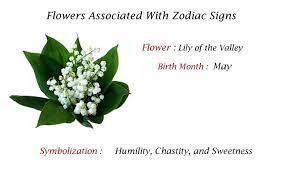 The Lily Of The Valley Is The Birth Flower For Those Born In The Month Of May Lily Of The Valley Birth Month Birth Month Flowers