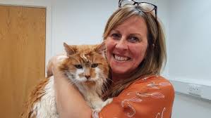 2 human years = 24 cat years. World S Oldest Cat Who Lived In Exeter Dies At The Age Of 31 Itv News West Country