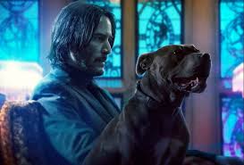 RÃ©sultat de recherche d'images pour "john wick parabellum"