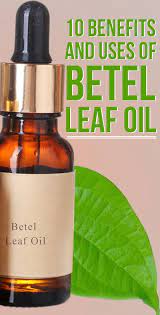 What Are The Benefits And Side Effects Of Betel Leaves Skin Benefits Oil Benefits Leaf Health