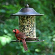 Pin On Birds