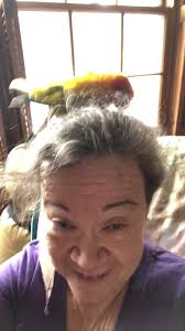 Cuervo decided he didn’t like the way I did my hair this morning so he  climbed off of his cage to make me pretty! LOL