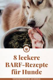 10 Leckere Barf Rezepte Fur Hunde Buchtipp Fur Den Barf Start In 2020 Barf Rezepte Hunde Tipps