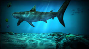 Maybe you would like to learn more about one of these? Shark Pack For Ocean Hd Live Wallpaper Youtube