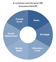 whole life insurance how it works