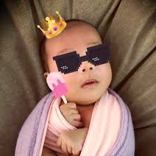 Terry Lai (terry760524)