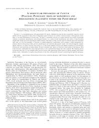 Image result for Panicum flacciflorum