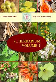 Image result for Sphaeranthus flexuosus