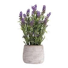 We are artificial flower manufacturers, we wholesale artificial flowers, plants and silk flower, custom fake flowers in cheap price, we located in china, our customer we make artificial flower more than 10years. Artificial Plants Flowers At Lowes Com