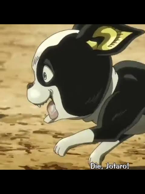 Iggy es el mejor perrito de anime y eso no se discute  #jojosbizarreadventure #iggy #perrito #anime #parati #fyp #foryoupage