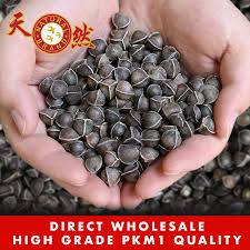 Moringa oleifera, also known as the moringa tree, the drumstick tree, or the horseradish tree, is a small tree that is native to the foothills of the mighty himalayan mountains in the northern part of india. Moringa Seeds Available For Sale In Singapore Highly Beneficial To Health
