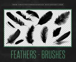 I will update this brush list when i find something new worth mentioning. Feather Brushes Photoshop By Sweetpoisonresources On Deviantart