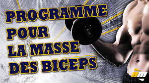 Et de nombreux internautes tapent « musculation des bras sans matériel » sur google, bing vous devez toujours suivre un programme, tout en trouvant un moyen de prendre du volume musculaire. Programme Biceps Rappel Triceps Entrainement Musculation Faire Grossir Bras All Musculation Youtube