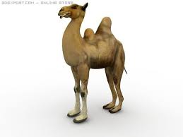 Pin On 3d Animals