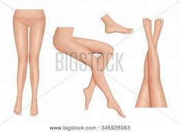 Women are shamed for being fat, skinny, tall, short, flat chested, busty, too plain, too sexy. Legs Realistic Vector Photo Free Trial Bigstock