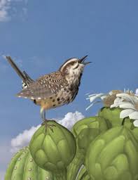 Does anyone know this i need this asap my stupid science teacher wants to know because on an average day you totally wake up and think 'oh, i wonder how a cactus how come no other plants but plenty of cactuses can survive in the desert? Cactus Wren By Ken Gilliland Poser Animals