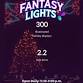Fantasy Lights 2025 event image