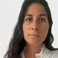 LARA Vincent Email & Phone Number