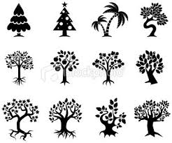 Apple Tree Clip Art Black And White Tree Growing Process