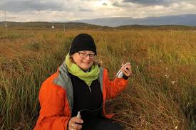 The ground's thaw state and consequent relationship to the water table determine the plant community, which in turn determines organic matter composition. Emerging Science Unh Today