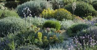 Il ne s'agit pas de faire tout simplement un quelconque tas de pierres et attention, avant de vous lancer, pensez que la rocaille vous demande beaucoup d'entretien et de temps pour maintenir avec les végétaux un effet. Un Jardin Sec Pour Un Jardin Sans Arrosage M6 Deco Fr