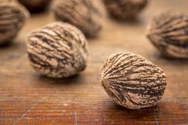 The fruit of the eastern black walnut is round, with a thick and green husk. Black Walnut Harvesting How Do You Harvest Black Walnuts