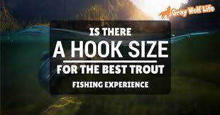 is there a hook size for the best trout fishing experience