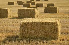 See full list on costfreak.com 5 Reasons Square Bales Are Perfect For Small Farms