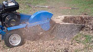 Charging for stump grinding by the inch is the most common method. How Much Do Tree Stump Grinding Removal Services Cost Prices