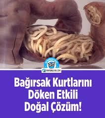 Vucuttaki Bagirsak Kurtlarini Doken En Etkili Dogal Cozum Dogal Saglik Dogal Saglik