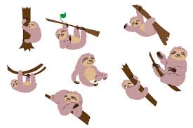 ✓ free for commercial use ✓ high quality images. Sloths Svg Cut File By Creative Fabrica Crafts Creative Fabrica