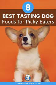 8 Best Tasting Dog Foods For Picky Eaters In 2021 Treehousepuppies Best Dog Food Dog Food Recipes Picky Eater Recipes