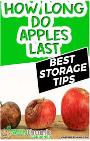 It will last longer and not dehydrate. How Long Do Apples Last Epic Storage Guide How To Store Apples Store Apples How To Store Apples In Fridge