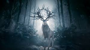 In the shadow and bone books, grisha powers are not, in fact, magical. these abilities are referred to as practicing the small science because grisha cannot create something from nothing. Shadow And Bone Legenden Der Grisha Teaser Ov Teaser Shadow And Bone Legenden Der Grisha Filmstarts De