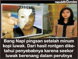 Hasil gambar untuk dunia koplak
