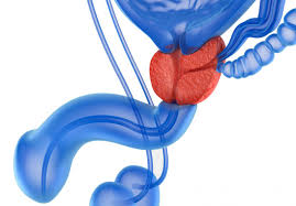 Medicines may be given if you have trouble getting or. Prostate Massage Therapy Definition Types And Risks