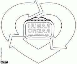 Y debido a que se está celebrando el día mundial del reciclaje, nuestra querida elvira cristi quiere compartir con ustedes un par de consejos. Juegos De Dia Mundial Dia Internacional Para Colorear Imprimir Y Pintar 2
