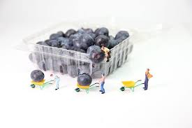 Blueberries Transport With Images Fruit Delivery Food Packaging Materials Plant Based