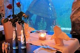 Dinner Unter Wasser Fur 2 In Neuwied Nanina Tron Dinner Fur Nanina Neu Hotelspedi Com Dinner Fur Hotelsped Tron Wasser Unterwasser Restaurant