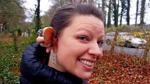 Winter wonders in the New Forest