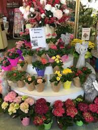 Maybe you would like to learn more about one of these? Thrifty Florist 24641 Ford Rd Dearborn Mi Florists Mapquest