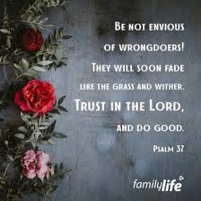 Psalm 37 1 4 Bible Truth Baby Quotes Bible Quotes