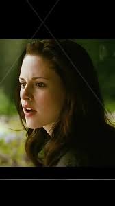 Prepping for Wild Roots Market this