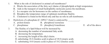 Check spelling or type a new query. 1 2 What Is The Role Of Cholesterol In Animal Cell Chegg Com